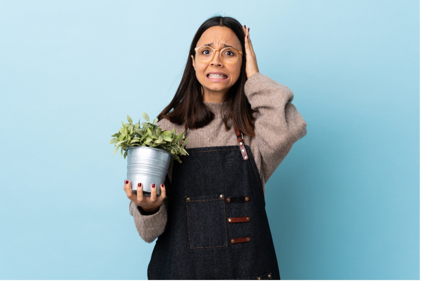 7 dôvodov, prečo ti hynú bylinky (a ako to napraviť raz a navždy)