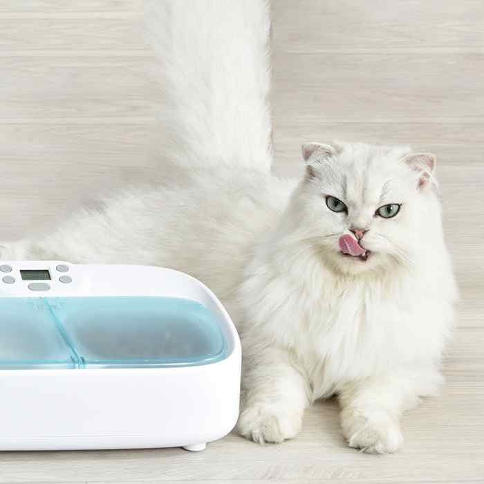 ANTIK Smart kŕmidlo na 2 jedlá ATK-PF04