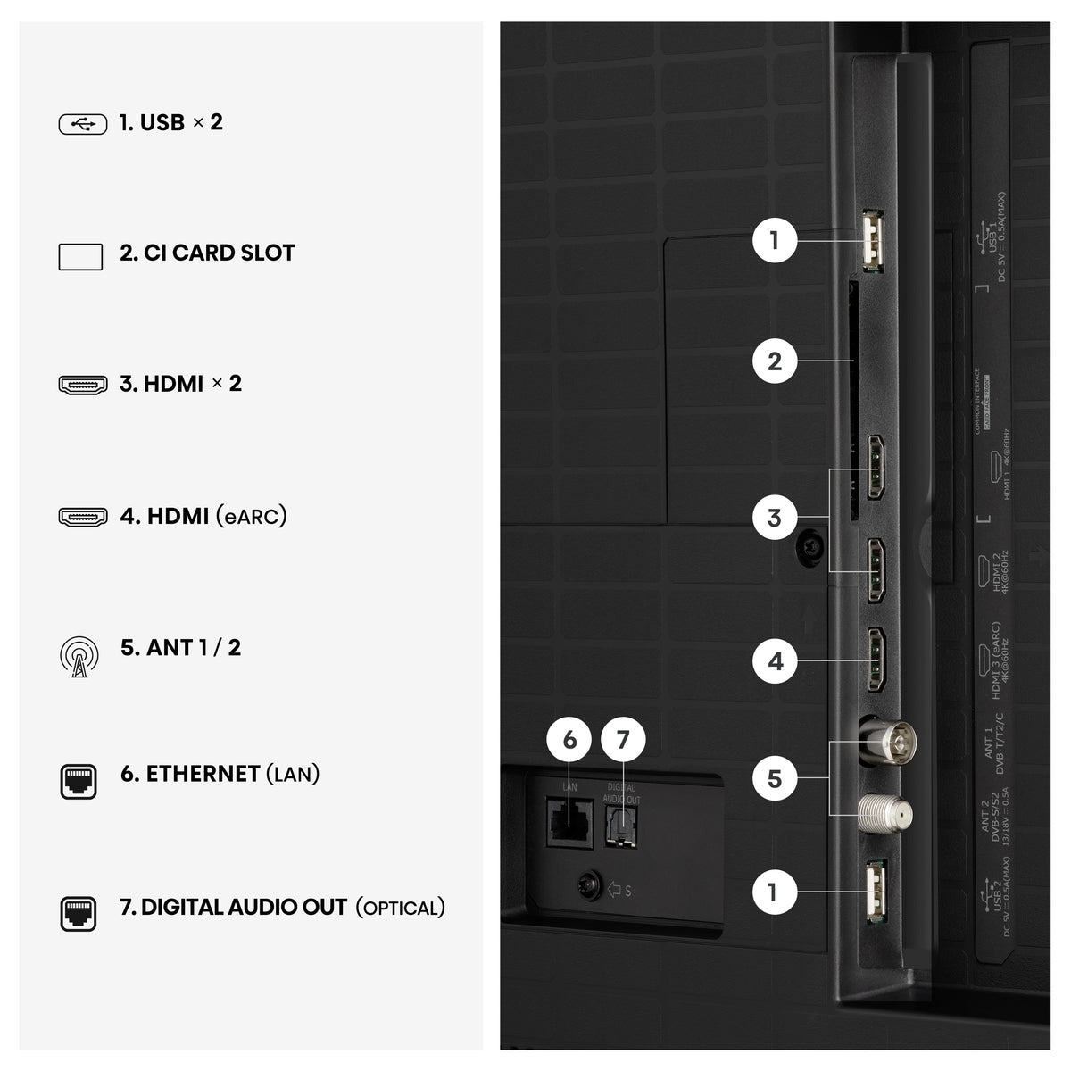 AKC-01-104680