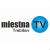 Miestna TV Trebišov - HD
