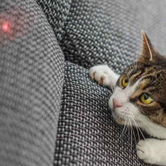 ANTIK Smart laserová hračka pre mačky ATK-PDT01