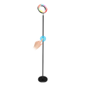 ANTIK smart floor lamp ATK-SFL01