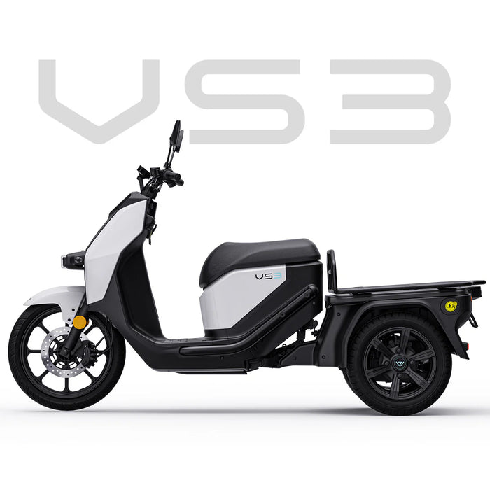 VS3